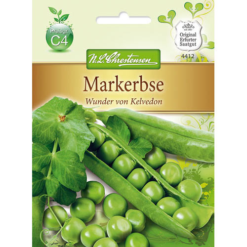 Mazăre Kelvedon Wonder articol fotografie 1 Mazăre Kelvedon Wonder imagine 1 articol 69117