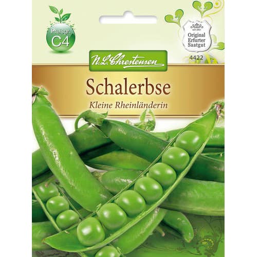 Mazăre Little Rhinelander imagine 1 articol 78842