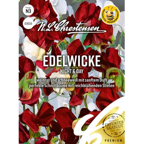 Măzăriche Night & Day articol fotografie 1 Măzăriche Night & Day imagine 1 articol 86149