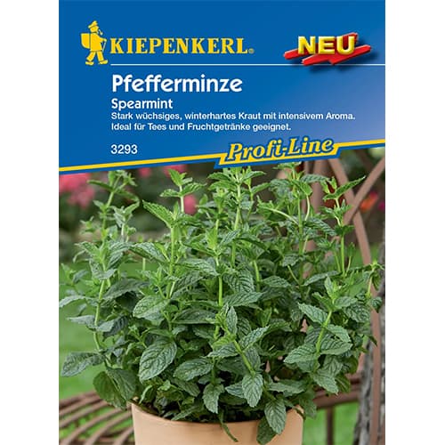 Mentă piperată perenă Spearmint Kiepenkerl imagine 1 articol 50019