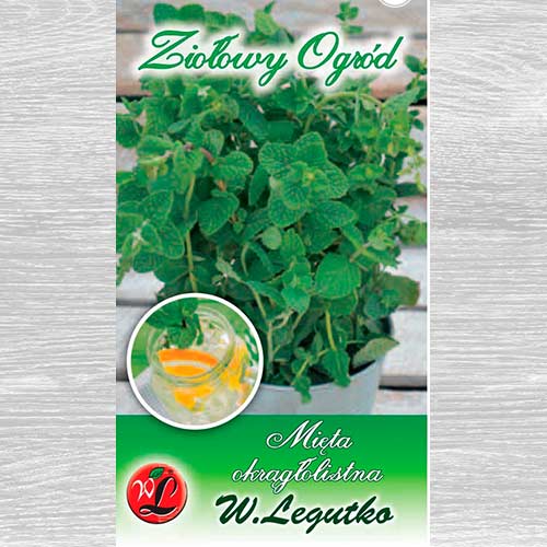 Mentă rotundă imagine 1 articol 69680