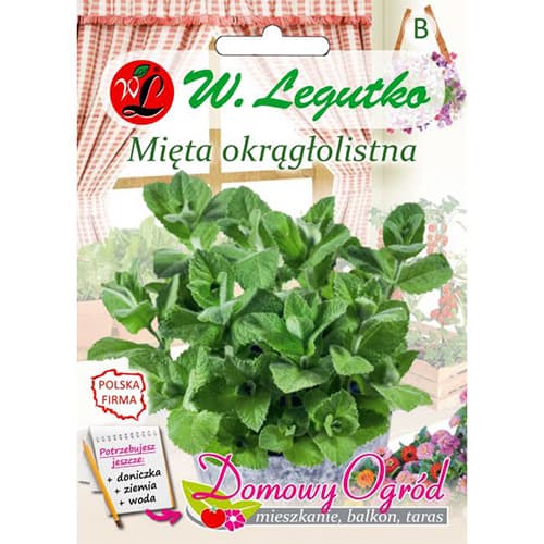 Mentă rotundă imagine 1 articol 69646