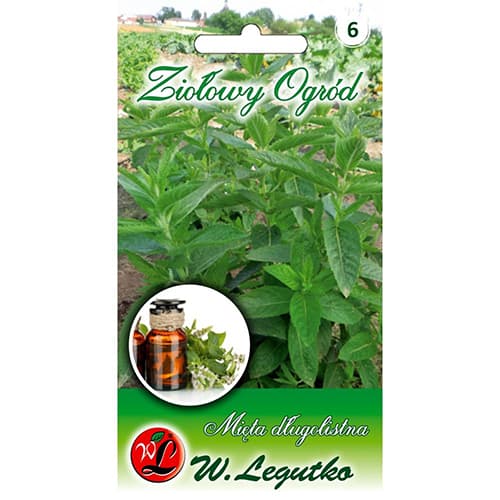 Mentă articol fotografie 1 Mentă imagine 1 articol 78707