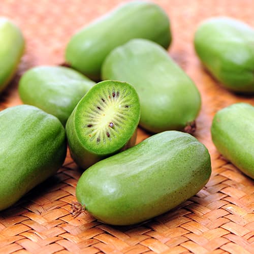 Mini kiwi Issai, P9 imagine 1 articol 9238