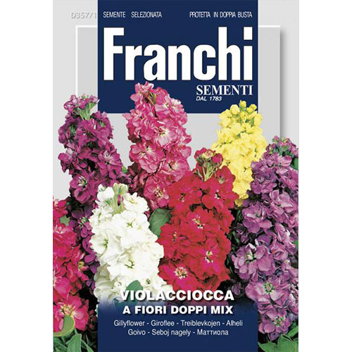 Mixandră cu flori duble, mix multicolor imagine 1 articol 87127