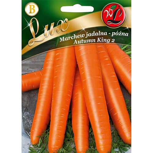 Morcovi Autumn King 2 articol fotografie 1 Morcovi Autumn King 2 imagine 1 articol 78675