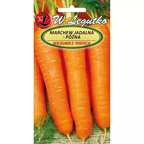 Morcovi Belikumer 2 articol fotografie 1 Morcovi Belikumer 2 imagine 1 articol 78483