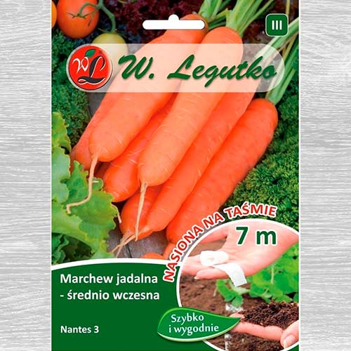 Morcovi Nantes 3 articol fotografie 1 Morcovi Nantes 3 imagine 1 articol 69430