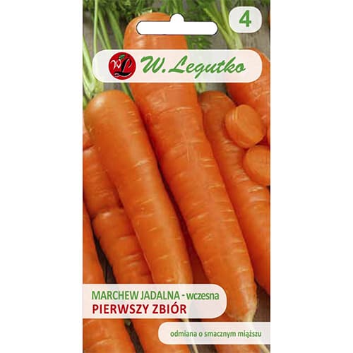 Morcovi Prima recoltă articol fotografie 1 Morcovi Prima recoltă imagine 1 articol 69492