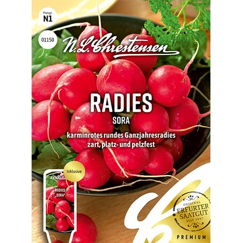 Morcovi Rotin, semințe pe bandă articol fotografie 1 Morcovi Rotin, semințe pe bandă imagine 1 articol 78736