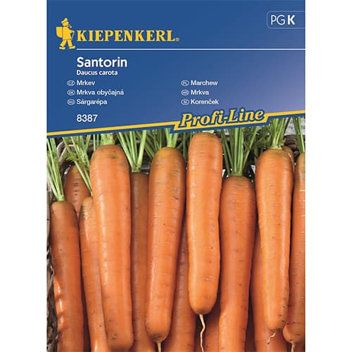 Morcovi Santorin F1 imagine 1 articol 87789