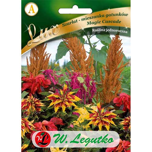 Moțul curcanului (Amaranthus) Magic Cascade imagine 1 articol 86758