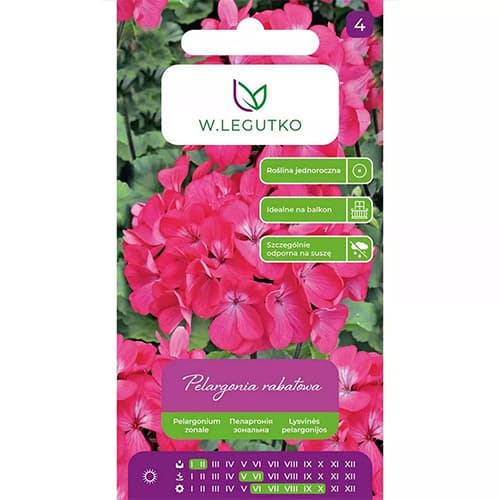 Mușcată Gama F1, roz imagine 1 articol 69621