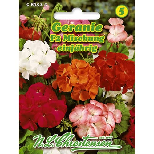 Mușcată Geranie F2, mix multicolor Chrestensen imagine 1 articol 78929