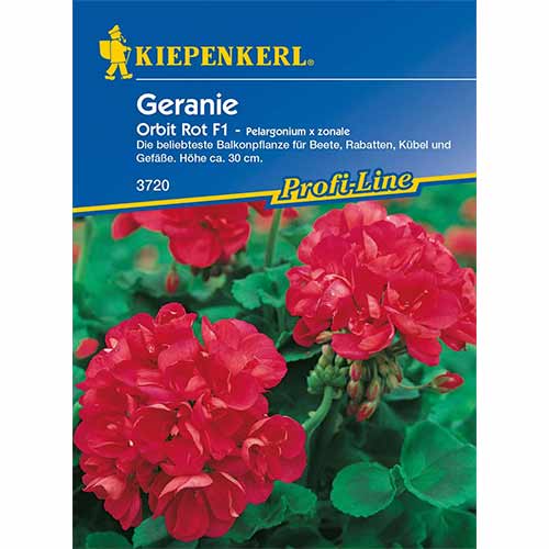 Mușcată Orbit F1, roșie imagine 1 articol 96536