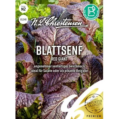 Muștar roșu Red Giant imagine 1 articol 87829