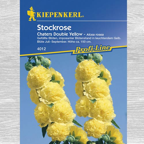 Nalbă de grădină (Alcea) Chaters DoubleYellow articol fotografie 1 Nalbă de grădină (Alcea) Chaters DoubleYellow imagine 1 articol 77443