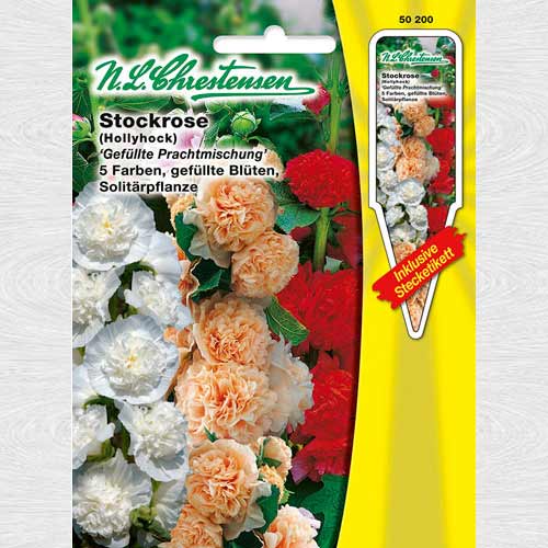 Nalbă de grădină dublă, mix multicolor articol fotografie 1 Nalbă de grădină dublă, mix multicolor imagine 1 articol 69232