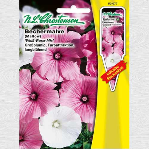 Nalbă Mont Rose , mix multicolor imagine 1 articol 69329