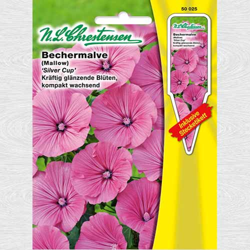 Nalbă Silver Cup articol fotografie 1 Nalbă Silver Cup imagine 1 articol 69330