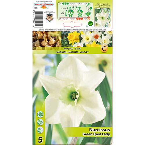 Narcise Green Eyed Lady imagine 1 articol 67429