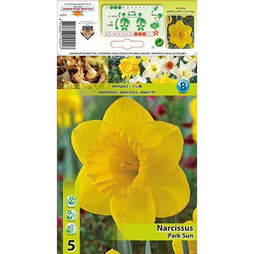 Narcise Park Sun imagine 1 articol 67654