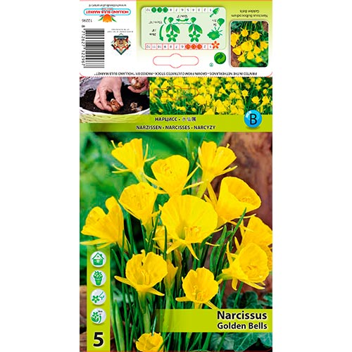 Narcise Golden Bells articol fotografie 1 Narcise Golden Bells imagine 1 articol 68069