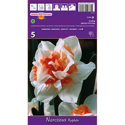 Narcise Replete articol fotografie 1 Narcise Replete imagine 1 articol 68071