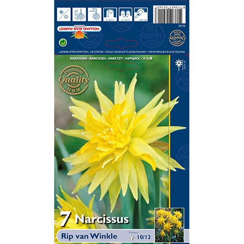 Narcise Rip van Winkle imagine 1 articol 67660