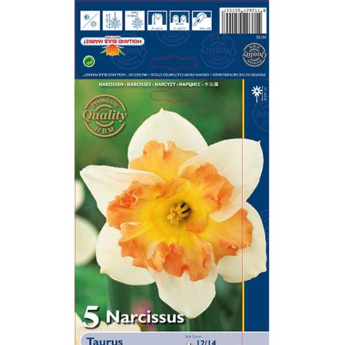 Narcise Taurus imagine 1 articol 68022