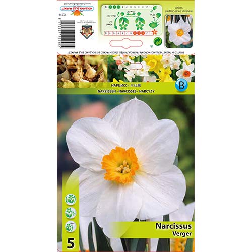 Narcise Verger imagine 1 articol 70279