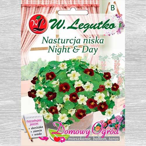 Năsturel Night & Day Legutko articol fotografie 1 Năsturel Night & Day Legutko imagine 1 articol 69661