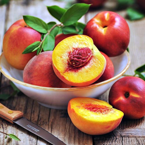 Nectarin Gorrali imagine 1 articol 7987