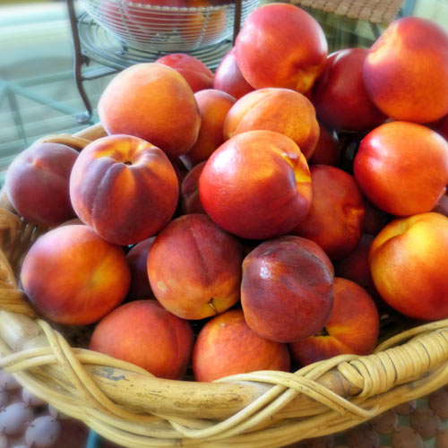 Nectarin Orion imagine 1 articol 7983