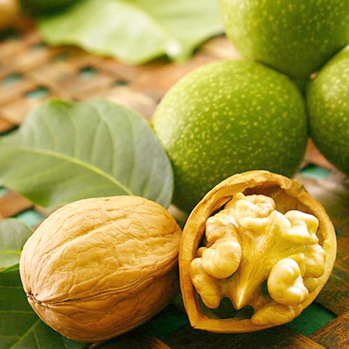 Nuc Chandler, С2 imagine 1 articol 7041