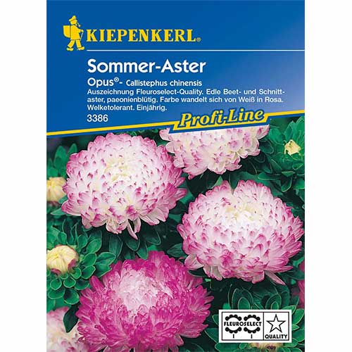 Ochiu boului tip bujor Opus imagine 1 articol 96572