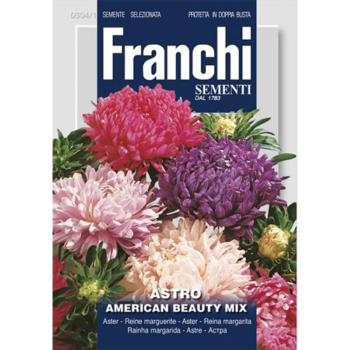 Ochiul boului American Beauty, mix multicolor articol fotografie 1 Ochiul boului American Beauty, mix multicolor imagine 1 articol 87129