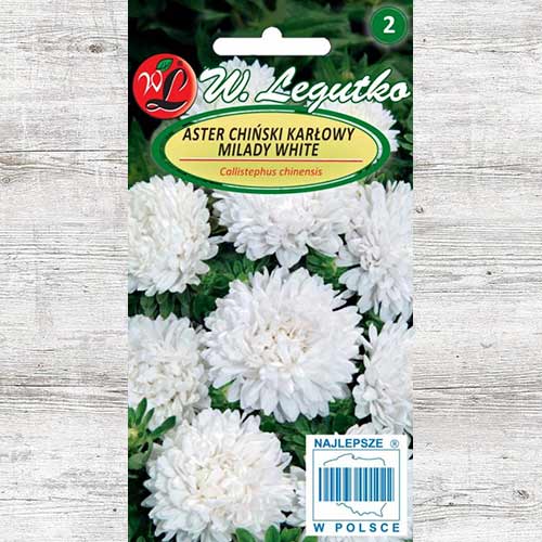 Ochiul boului Milady White Legutko articol fotografie 1 Ochiul boului Milady White Legutko imagine 1 articol 86808