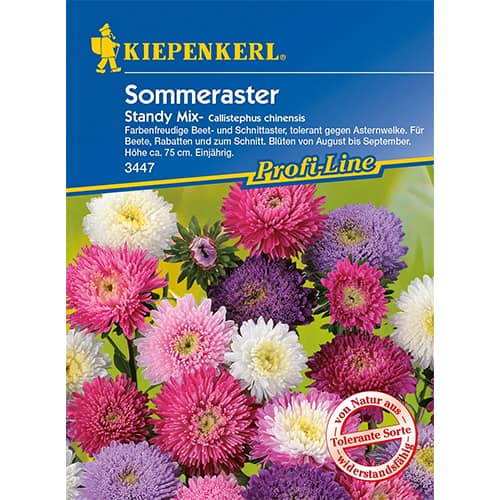 Ochiul boului Standy, mix multicolor imagine 1 articol 96573