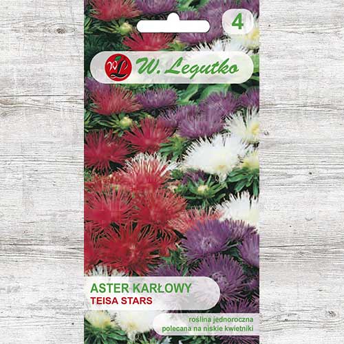 Ochiul boului Teisa Start, mix multicolor Legutko articol fotografie 1 Ochiul boului Teisa Start, mix multicolor Legutko imagine 1 articol 86812