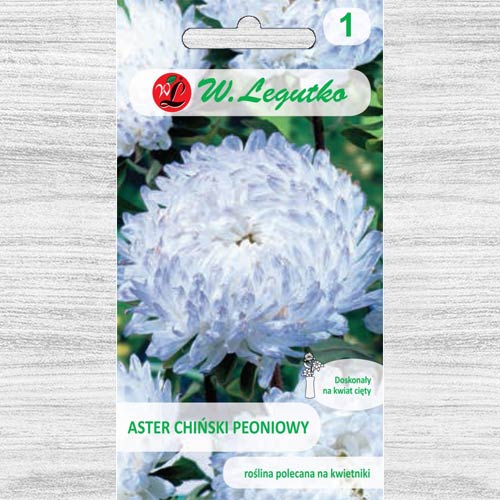 Ochiul boului tip bujor alb-albastru Legutko imagine 1 articol 78526