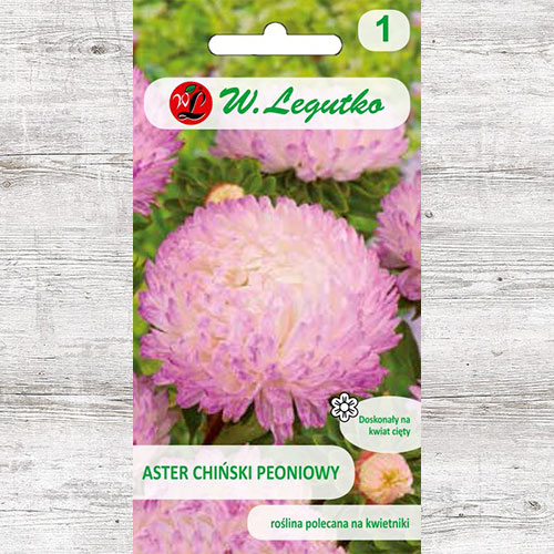 Ochiul boului tip bujor alb-roz Legutko imagine 1 articol 78523