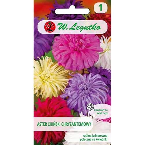 Ochiul boului tip crizantemă, mix multicolor imagine 1 articol 78511