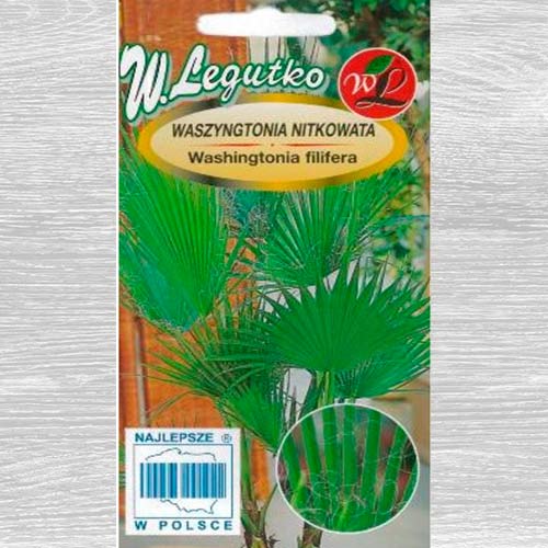 Palmier Washington imagine 1 articol 69638