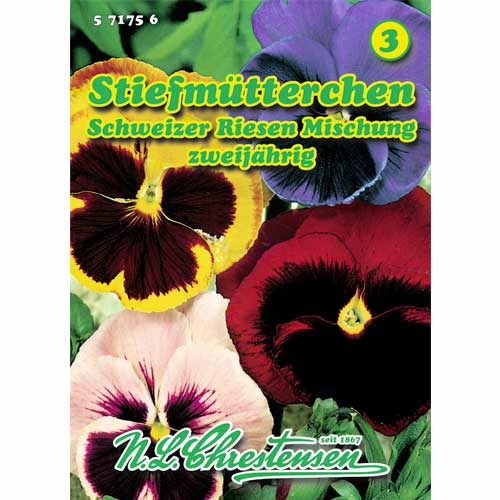 Panseluțe, mix multicolor Chrestensen imagine 1 articol 50039