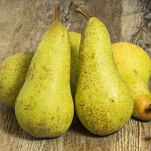 Păr Abate Fetel, C2 imagine 1 articol 9684