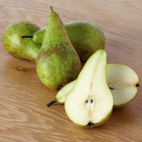 Păr Conference imagine 2 articol 7419