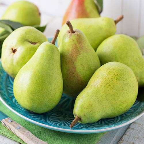 Păr Passe Crassane imagine 1 articol 4307