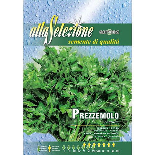 Pătrunjel de frunze Comune 2 imagine 1 articol 87159