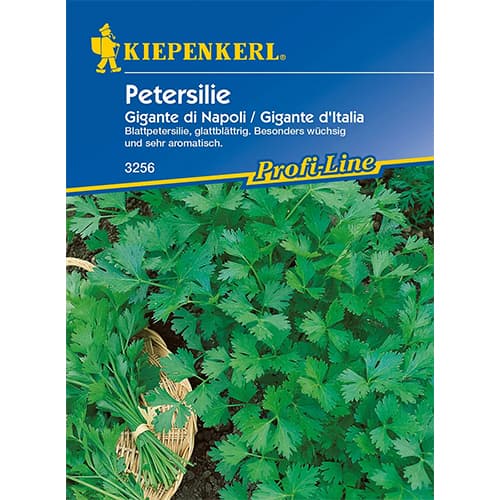 Pătrunjel de frunze Gigante di Napoli imagine 1 articol 96644